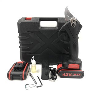 Lithium elektrisk saks
